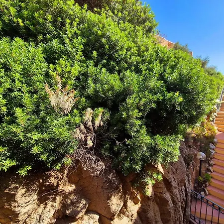 North Sardinia Retreats - Weber Apartment *